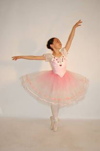 A-3 Beautiful pink romantic costume