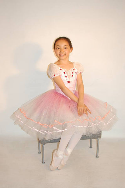 A-3 Beautiful pink romantic costume