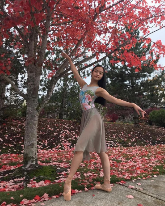 【 Iridescent Chiffon】Rehearsal long flowy skirt