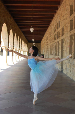 Hand-dyed Ombre Romantic Tutu (5 colors)