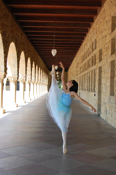 Hand-dyed Ombre Romantic Tutu (5 colors)
