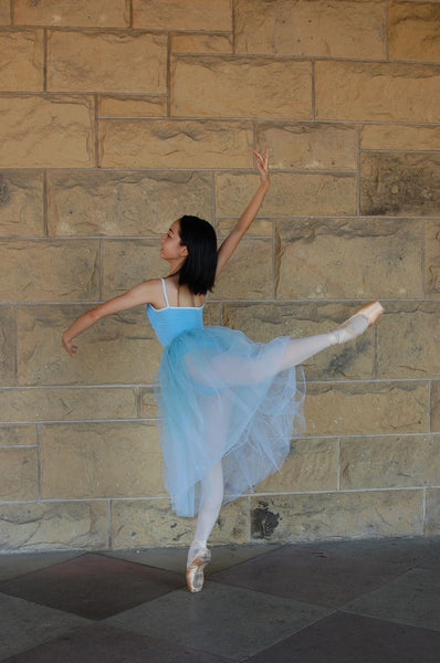 Hand-dyed Ombre Romantic Tutu (5 colors)