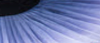 Ombre classical tutu (12 Colors! New 8 colors are added!)