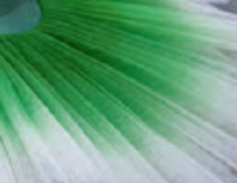 Ombre classical tutu (12 Colors! New 8 colors are added!)