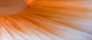 Ombre classical tutu (12 Colors! New 8 colors are added!)