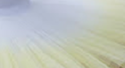 Ombre classical tutu (12 Colors! New 8 colors are added!)